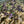 Load image into Gallery viewer, Lunch & Dinner Buffet
