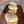 Load image into Gallery viewer, Cranberry, Chicken & Cheese