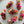 Load image into Gallery viewer, Grilled Pork Belly, Pickled Shallots, Chipotle Aioli on Crostini