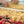 Load image into Gallery viewer, School Camp Catering