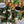 Load image into Gallery viewer, Chef’s Choice Platter