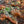 Load image into Gallery viewer, Lunch & Dinner Buffet