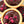 Load image into Gallery viewer, Chocolate Ganache Tartlets
